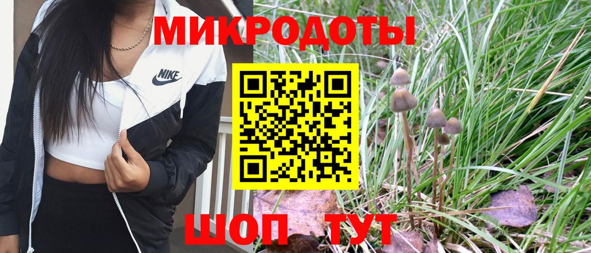 Галлюциногенные грибы GOLDEN TEACHER Тында